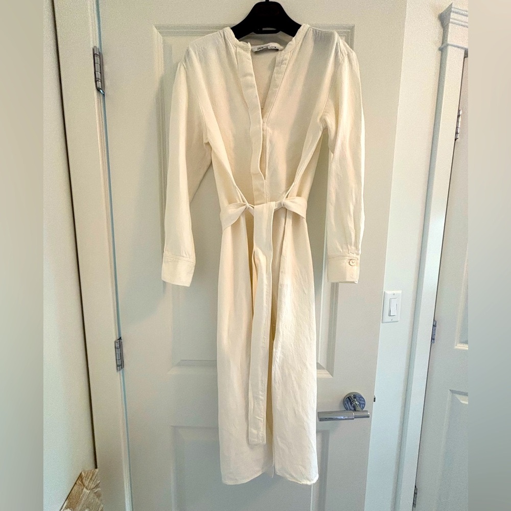 Zara dress